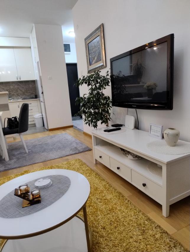 Lovely Apartment - Ljupki Stan بودغوريتْسا المظهر الخارجي الصورة